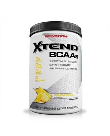 Scivation - Xtend Intra Workout Catalyst 426g